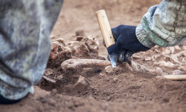 Image showing an archaeologist at work. Shutterstock.