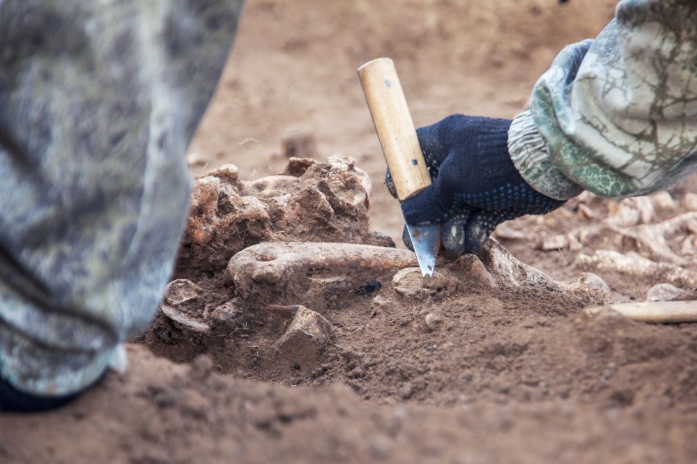 Image showing an archaeologist at work. Shutterstock.