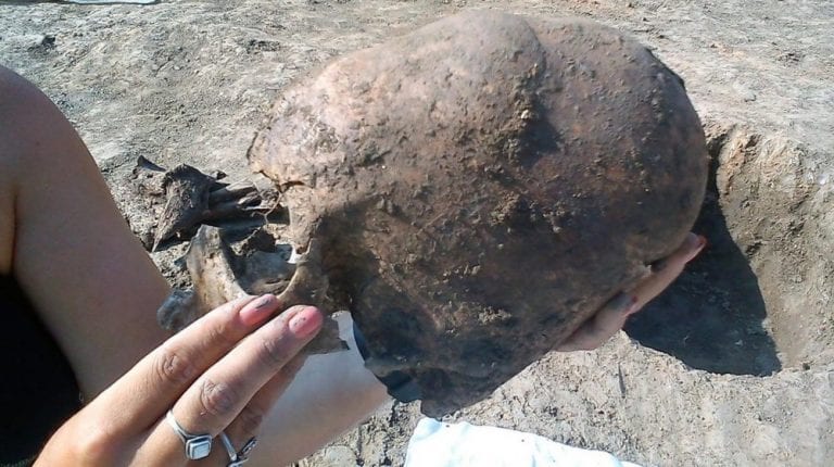 Elongated skull from Croatia. Image Credit: D. Los/Kaducej Ltd.