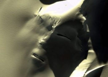 Screenshot of the alleged Face on Antarctica. Image Credit: Google Earth.