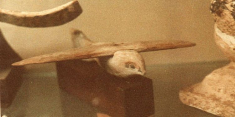 A photograph of the Saqqara bird. Image Credit: Wikimedia Commons / Public domain.