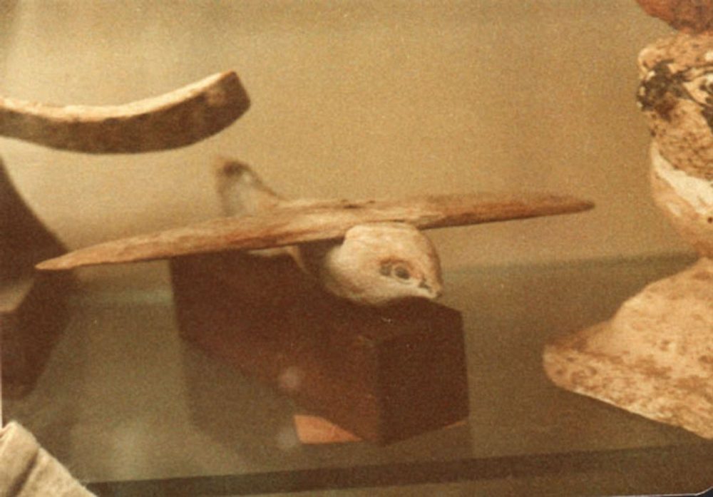 A photograph of the Saqqara bird. Image Credit: Wikimedia Commons / Public domain.