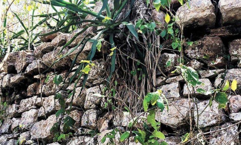 The megalithic remains of the ancient Maya City of X'baatun.
