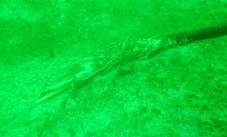 Missing underwater monitoring station. Image Credit: Research Dive Center / CAU.