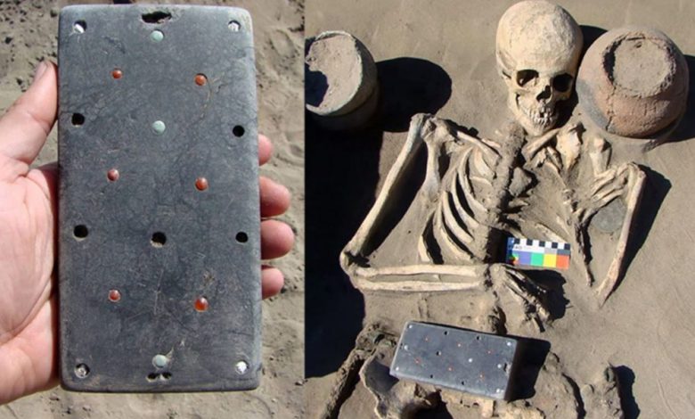 Archaeologists say that the site is a scientific sensation. Image Credit: HMC RAS/Pavel Leus.