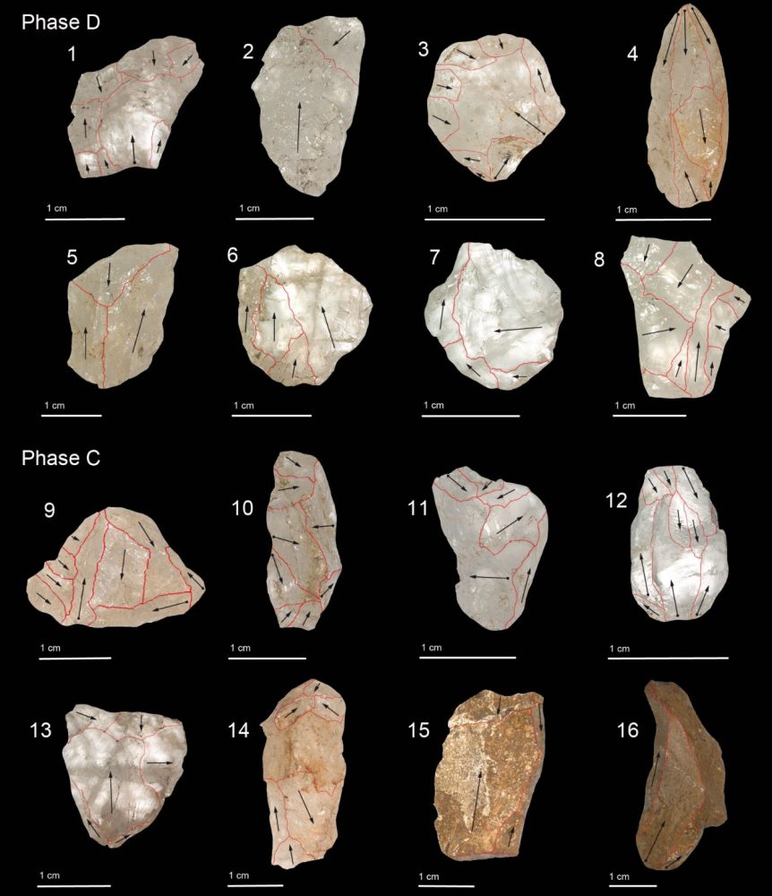 Some of the microliths discovered in a cave in Sri Lanka. Image Credit: Wedage et al, 2019.