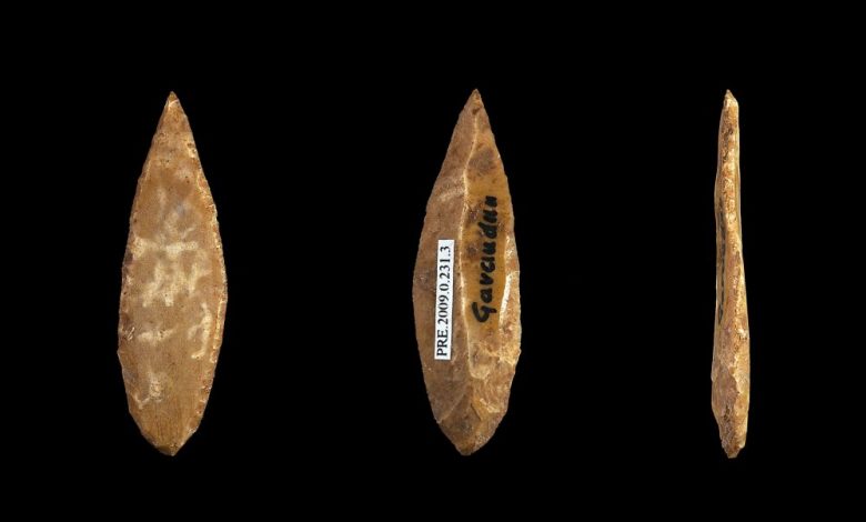 Small fléchette, evidence of ancient microliths. Image Credit: Wikimedia Commons / CC BY-SA 4.0.