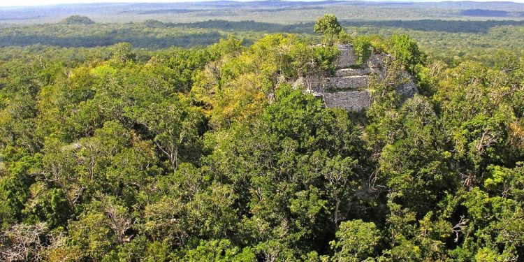 The La Danta Pyramid complex protruding from the jungle. Dennis Jarvis from Halifax, Canada [CC BY-SA 2.0.