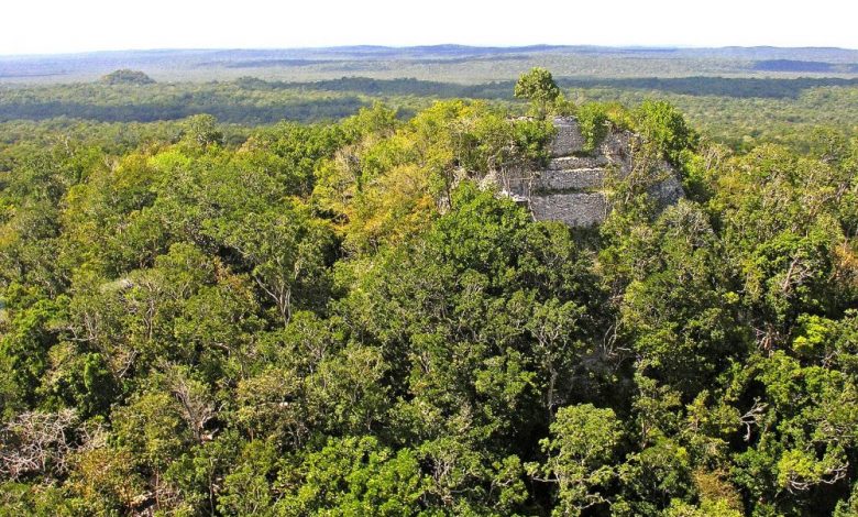 The La Danta Pyramid complex protruding from the jungle. Dennis Jarvis from Halifax, Canada [CC BY-SA 2.0.
