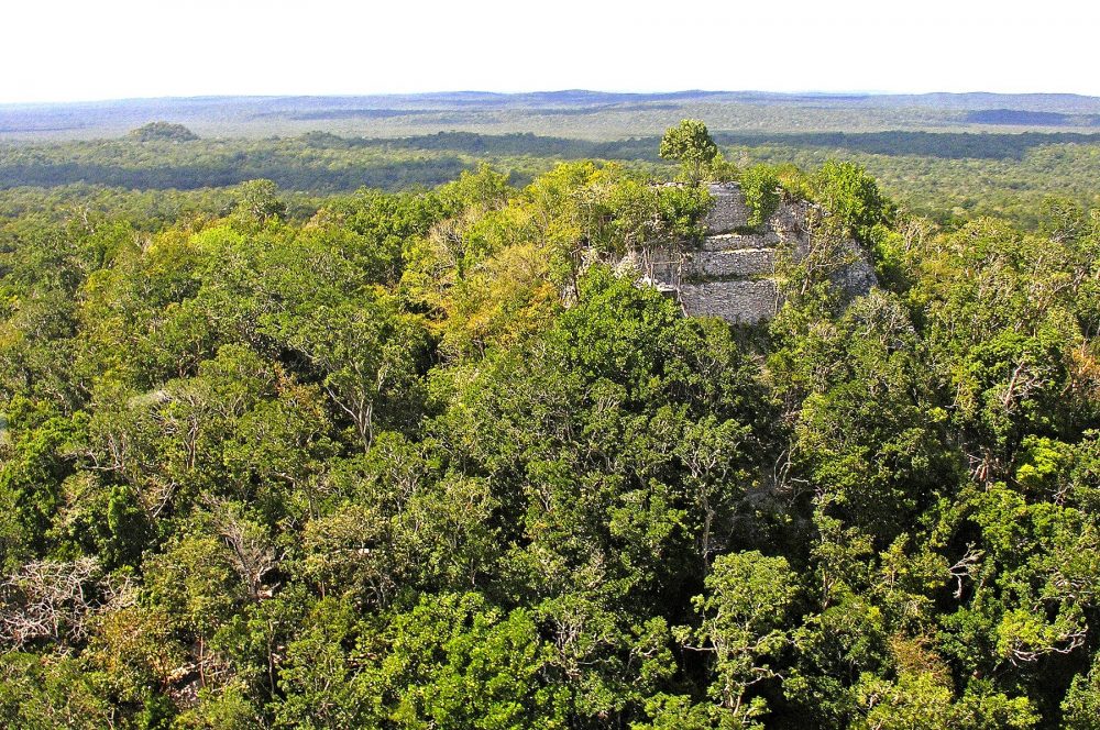 The La Danta Pyramid complex protruding from the jungle. Dennis Jarvis from Halifax, Canada [CC BY-SA 2.0.