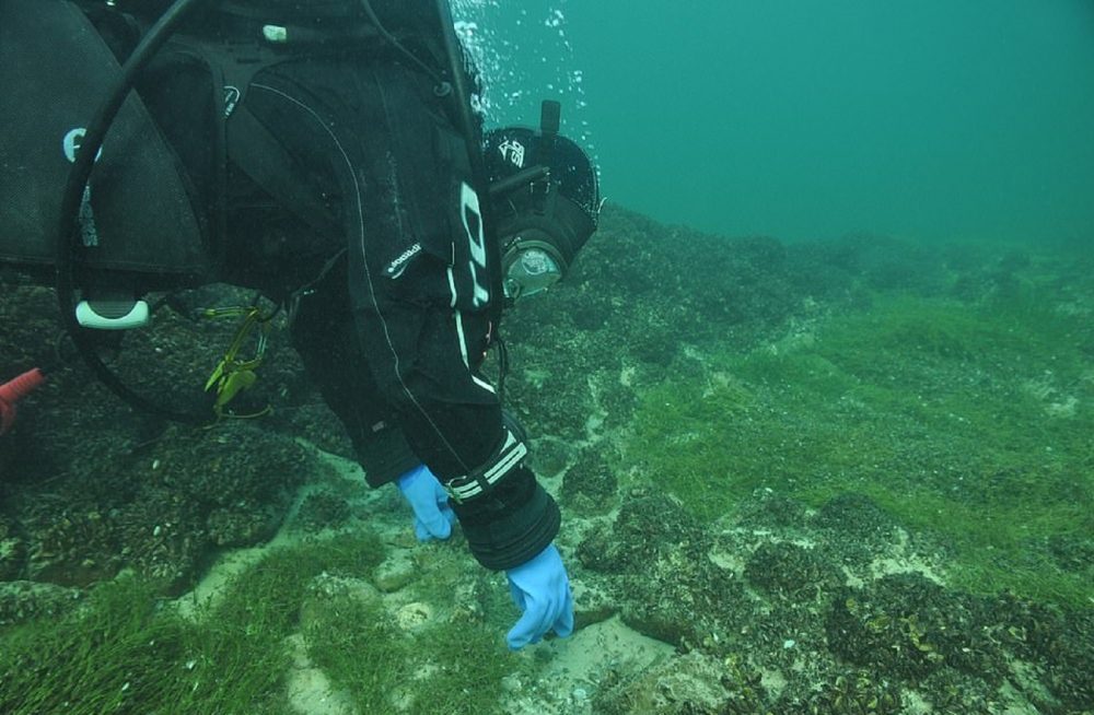 A diver inspecting the underwater site. Image Credit: Thurgau Archaeological Office.