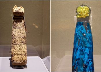 Image of the mummified cat (left) and the 3D reconstruction of its interior. Image Credit: Museum of Fine Arts of Rennes / INRAP.