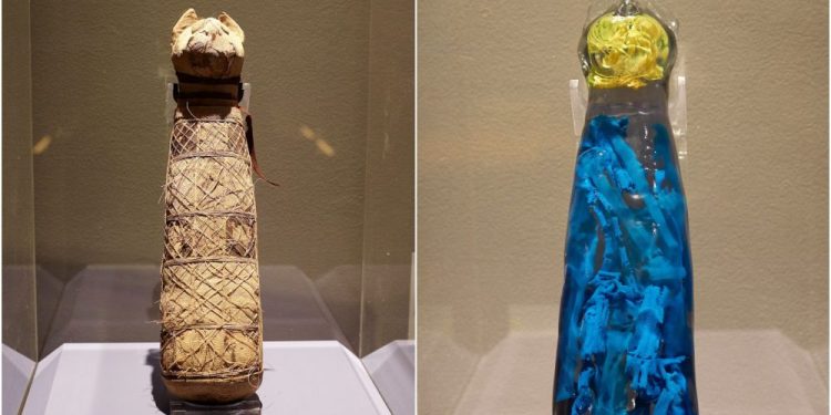 Image of the mummified cat (left) and the 3D reconstruction of its interior. Image Credit: Museum of Fine Arts of Rennes / INRAP.