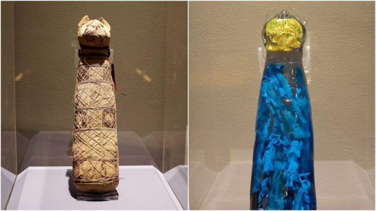 Image of the mummified cat (left) and the 3D reconstruction of its interior. Image Credit: Museum of Fine Arts of Rennes / INRAP.
