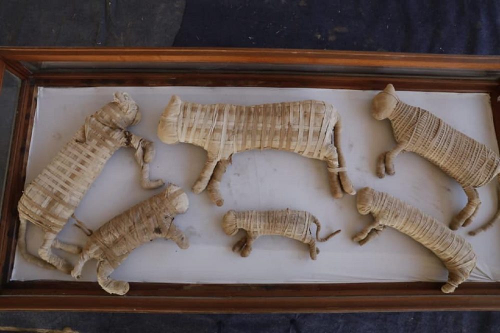 An image of the mummified cats discovered by archaeologists at Saqqara. Image Credit: Egyptian Ministry of Antiquities / Facebook.