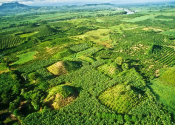 Aerial view of some of the buried pyramids of El Pital. Pinterest.