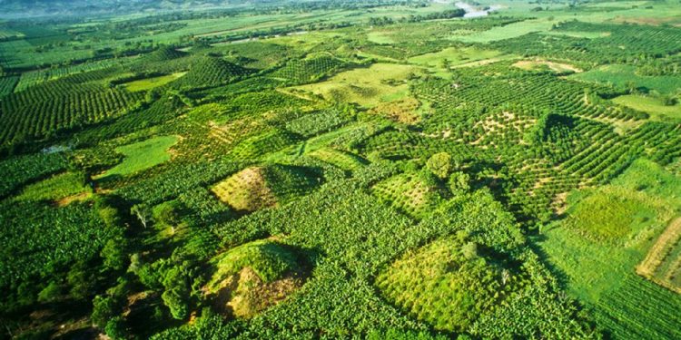 Aerial view of some of the buried pyramids of El Pital. Pinterest.