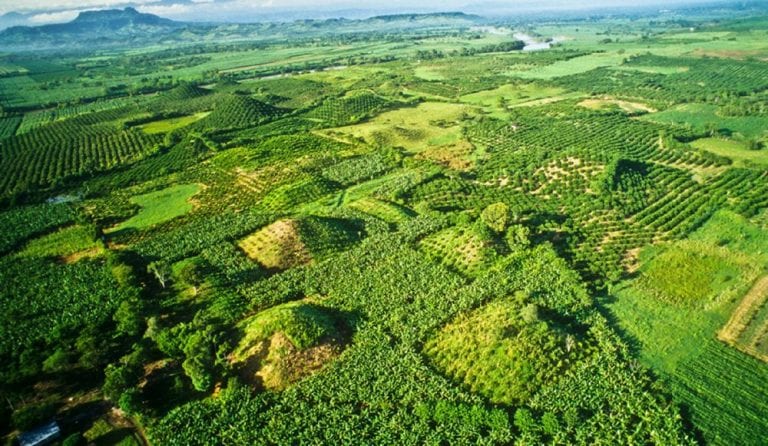 Aerial view of some of the buried pyramids of El Pital. Pinterest.