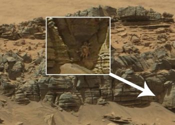 Is that an alien on Mars? One of the many images alien hunters say shows clear evidence of life on Mars. Image Credit: NASA.