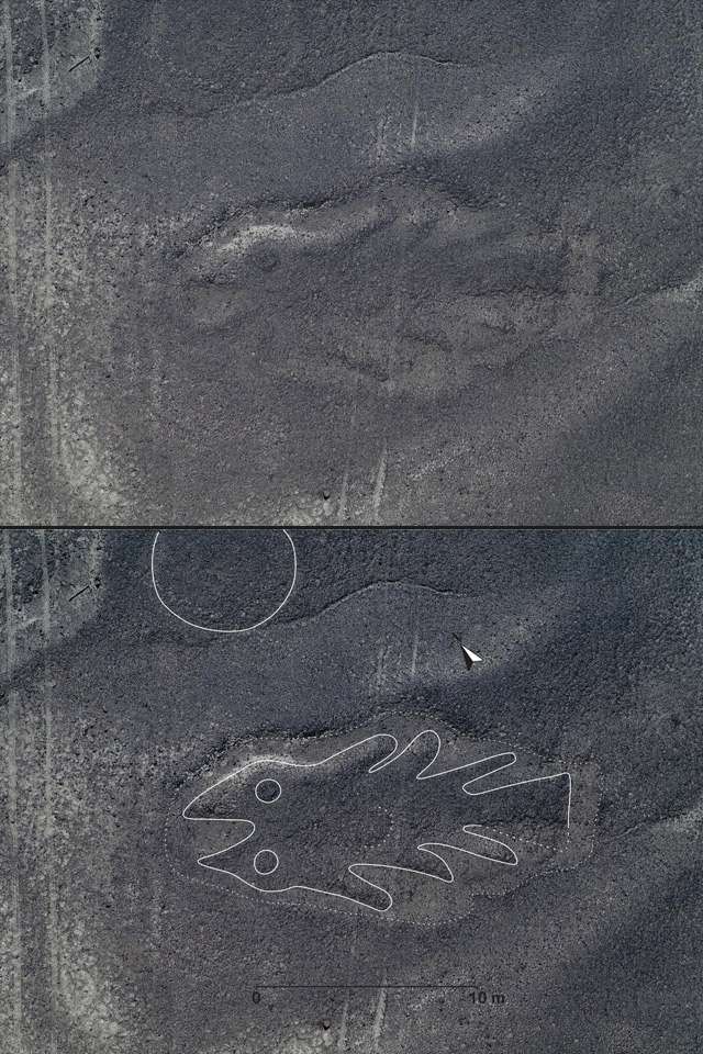 One of the newly found Nazca Lines showing a fish. Image Credit: Yamagata University.