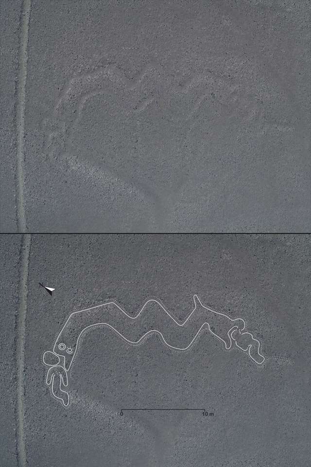 A new Nazca Lines showing a snake. Image Credit: Yamagata University.