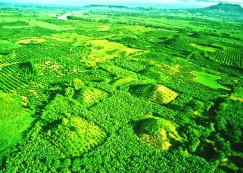 Aerial image of the Pyramids of El Pital. Image Credit: Pinterest.