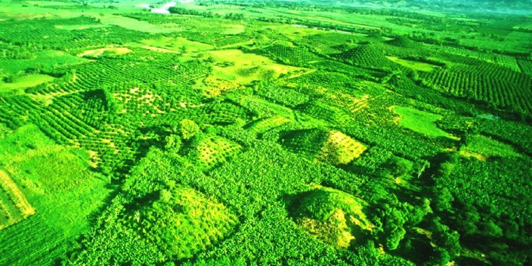 Aerial image of the Pyramids of El Pital. Image Credit: Pinterest.