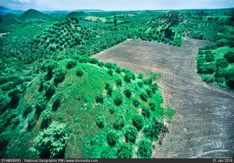 Some of the pyramids at El Pital. Image Credit: Nat Geo.