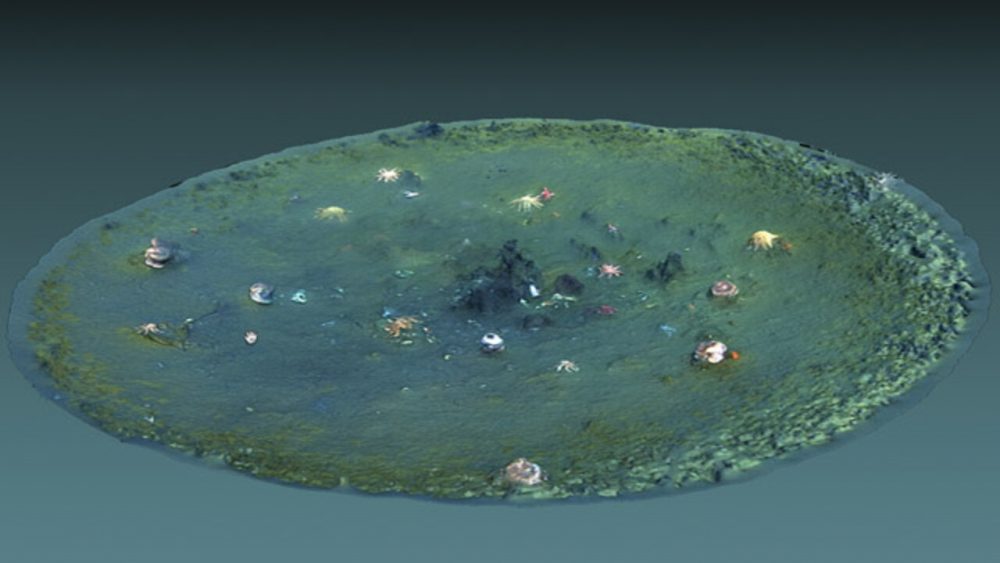 This image shows a computer-generated 3D view of a micro-depression. Image Credit: Ben Erwin 2019 MBARI.