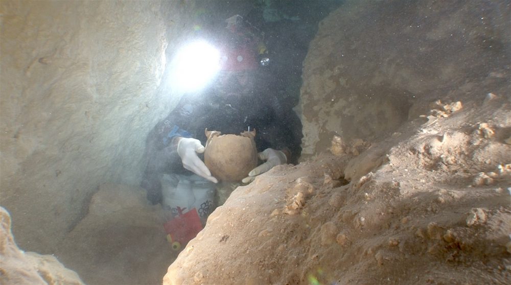 An image of one one the ancient skulls recovered by experts in Mexico. Image Credit: Jerónimo Avilés / osu.edu.