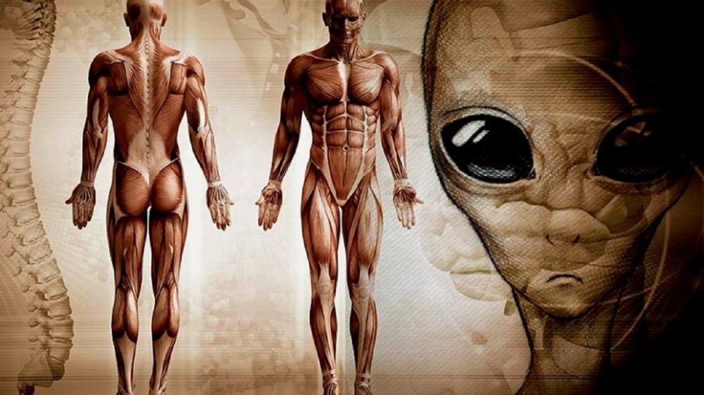 NASA's administrator does not rule the possible existences of advanced alien civilizations.