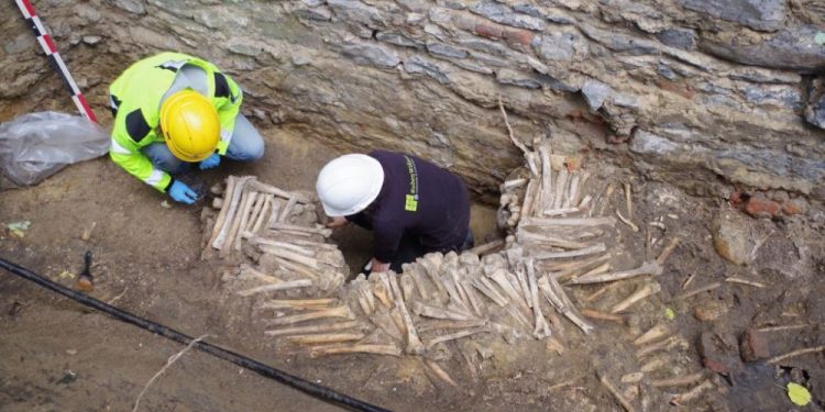 An image of the wall of bones beneath the Cathedral. Image Credit: Ruben Willaert.