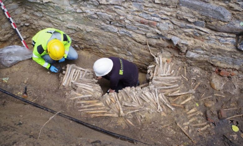 An image of the wall of bones beneath the Cathedral. Image Credit: Ruben Willaert.