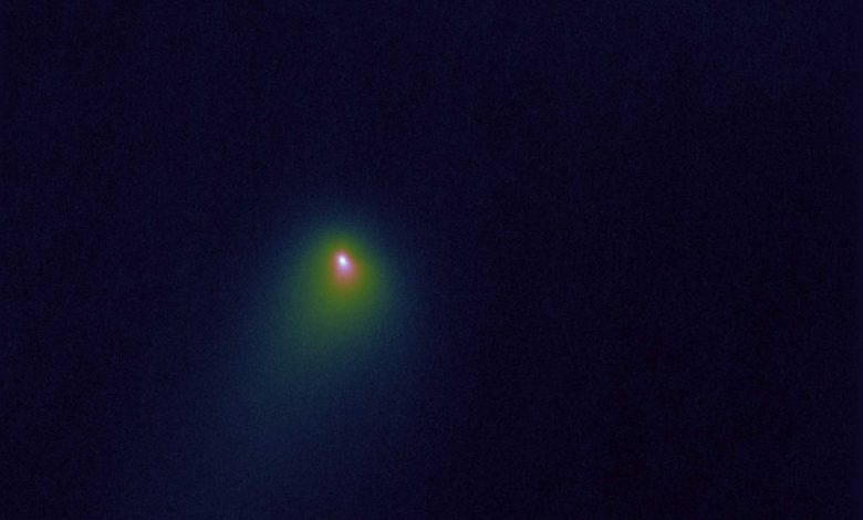 An image of the interstellar comet 2l/Borisov caputred with the help of the Hubble Space Telescope in October 2019. Image Credit: Paul Kalas.