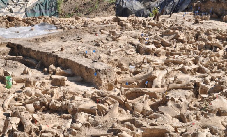 An image of the archaeological site where the mammoth bone structure was found. Image Credit: Alex Pryor.
