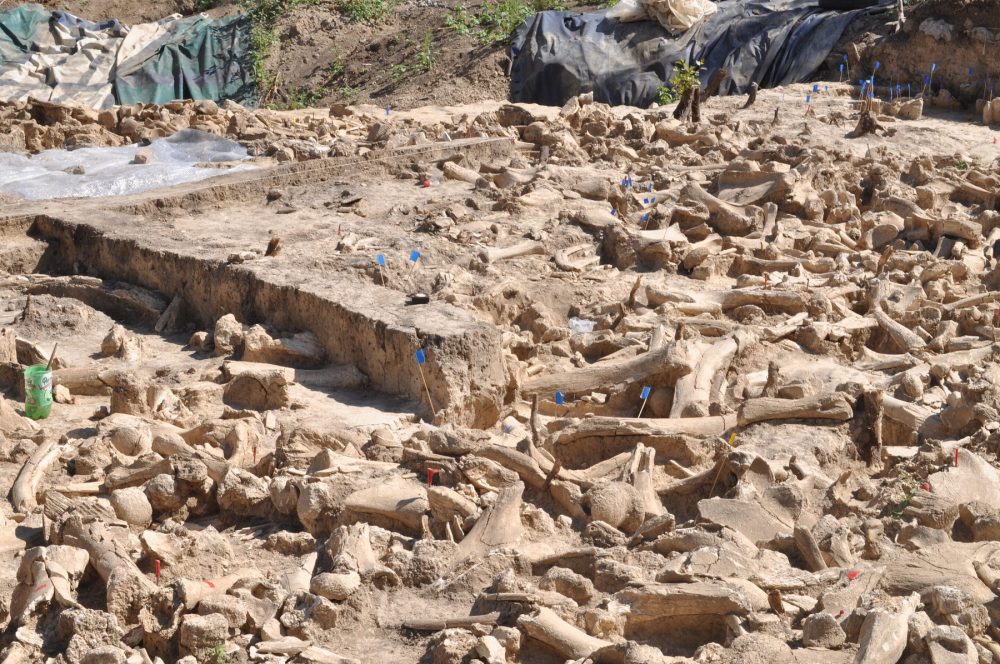 An image of the archaeological site where the mammoth bone structure was found. Image Credit: Alex Pryor.