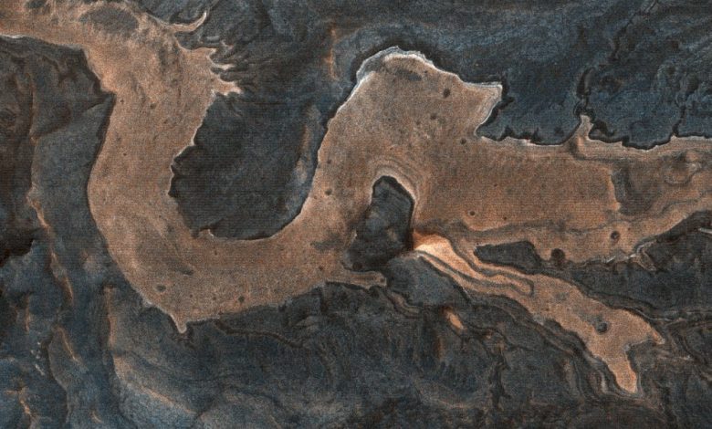 A HiRISE image of a "dragon" on the surface of Mars. The image actually shows the Melas Chamnsa region on Mars, an unusually blocky deposit composed of light-toned blocks in a darker matrix. Image Credit: HiRISE / NASA.