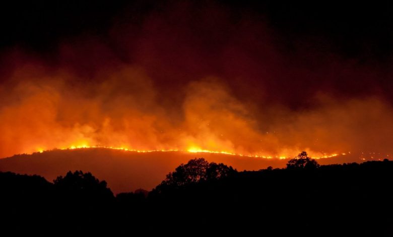 An image of a forest fire. Shutterstock.