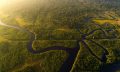 An aerial view of the Amazonian Rainforest. Shutterstock.
