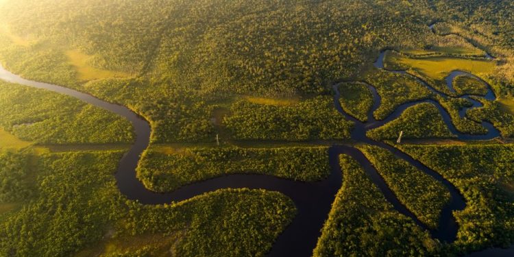 An aerial view of the Amazonian Rainforest. Shutterstock.