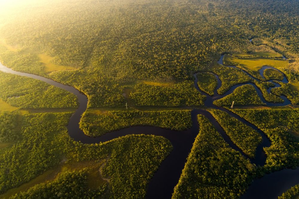 An aerial view of the Amazonian Rainforest. Shutterstock.
