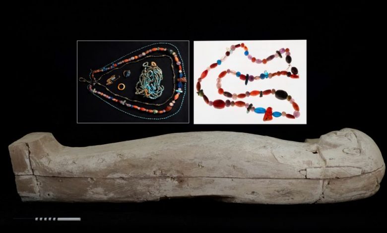 A collage showing the sarcophagus and ancient artifacts excavated by archaeologists at Luxor. Image Credit: CSIC / Proyecto Djehuty.