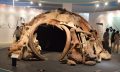 Ancient Mammoth House replica. Pinterest.