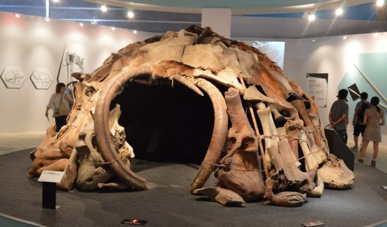 Ancient Mammoth House replica. Pinterest.