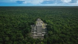 An aerial image of the Pyramid of Calakmul rising above the dense rain-forest beneath. Shutterstock.