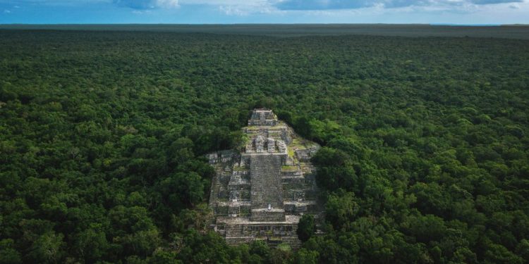 An aerial image of the Pyramid of Calakmul rising above the dense rain-forest beneath. Shutterstock.