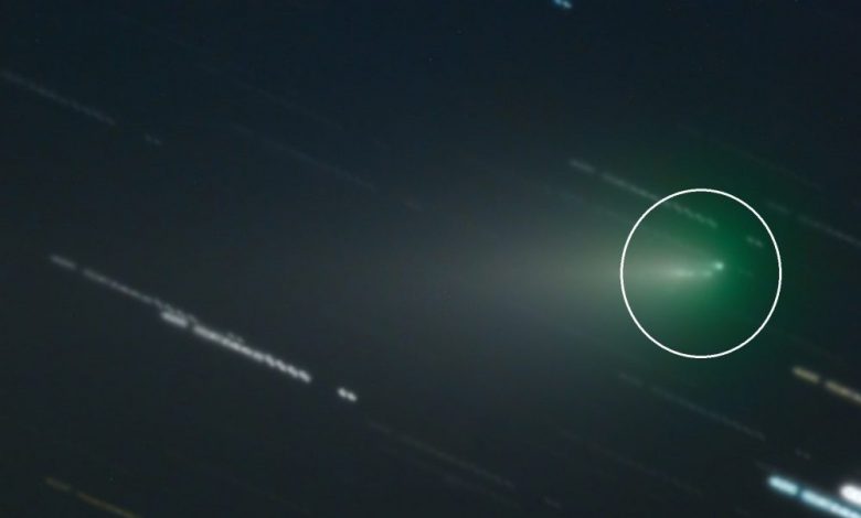 This image shows comet Atlas' fragments. Image Credit: Velimir Popov, Emil' Ivanov (Observatoriya Irida).