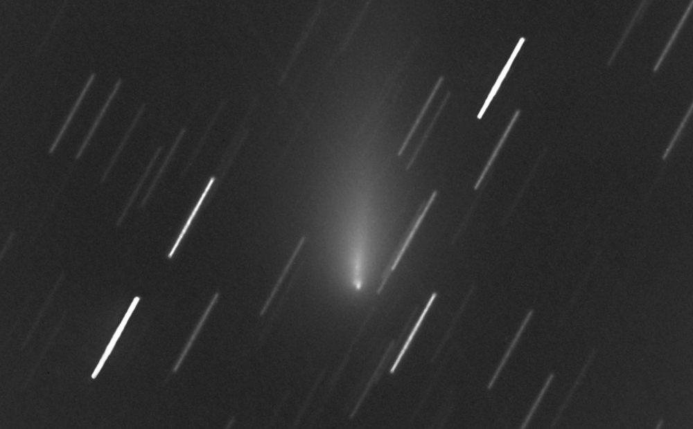 An image of Comet C/2019 Y4 Atlas, a close up, from an average of 57, 60-second exposures, unfiltered, remotely taken with the "Elena" robotic unit, part of the Virtual Telescope Project. The image was taken on April 14. mage Credit: Gianluca Masi, / The Virtual Telescope Project.