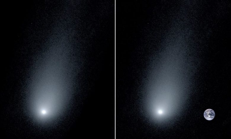 A comparative view of Comet Borisov and our planet. The comet is believed to be around 14 times the size of Earth. Image Credit: Pieter van Dokkum, Cheng-Han Hsieh, Shany Danieli, Gregory Laughlin.