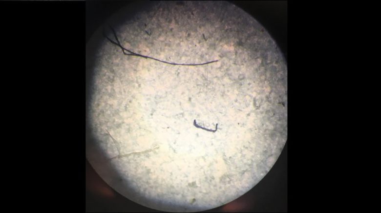 An image showing the microplastic particles discovered inside ice cores recovered from East Antarctica. Image Credit: IMAS.